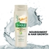 Vatika - Garlic Shampoo - 400ml- Babystore.ae