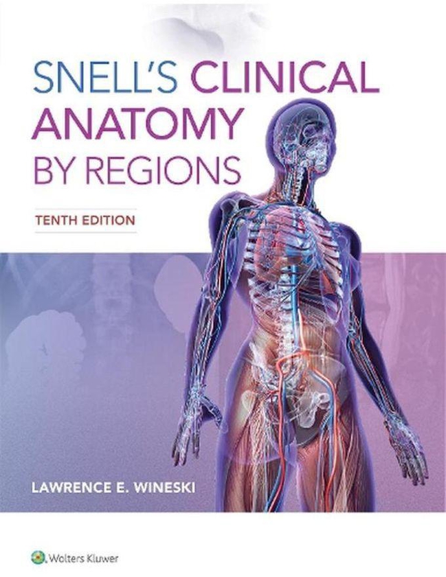 Snell s Clinical Anatomy by Regions Ed 10