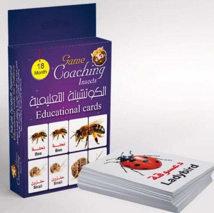English & Arabic Insects Educational Cards