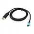i-tec USB-C DisplayPort Cable Adapter 4K/60Hz 200cm | Gear-up.me