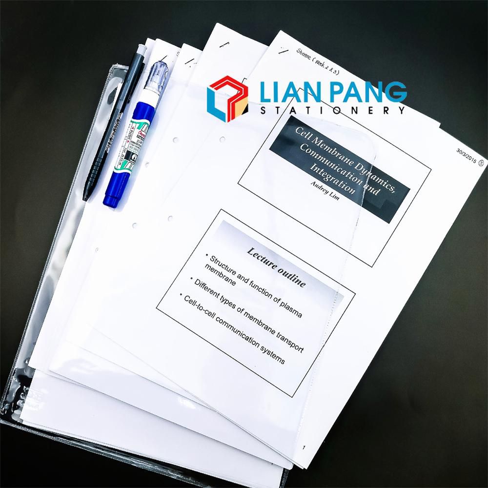LIANPANG 24pcs x CBE Clear File Holder Folder A4 - 3 Sizes