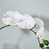 Real Touch Orchid Flower Stem