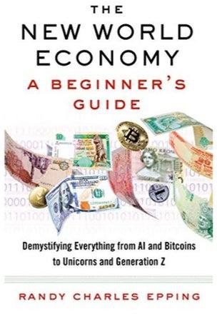 The New World Economy A Beginner's Guide Paperback 1