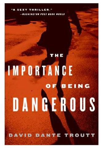 The Importance Of Being Dangerous Paperback