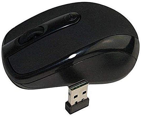 Dell Wireless Mouse With USB Receiver - Black