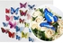 48 Pcs 4 Packs Beautiful 3D Butterfly Wall Decals Removable DIY Home Decorations Art Decor Wall Stickers & Murals for Babys Bedroom TV Background Living Room (48 pcs in 4 Colors)