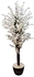 شجرة الخوخ بزهرة الجهنمية