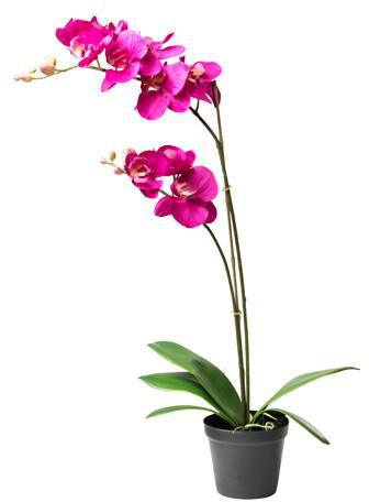 FEJKA Artificial potted plant, Orchid dark lilac