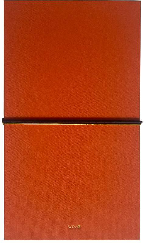 Vive Panache Clutch Journal Flame (Orange)