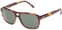 Dunhill Square Men's Sunglasses - D3001A