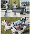 Roller Skate Shoes For Kids - White/Black