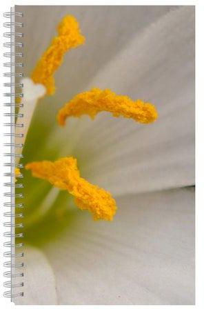 A4 Printed Spiral Bound Notebook White/Yellow/Green