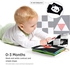 Rayyan 3 Months Baby Toys,Baby Book Toys, High Contrast Black and White,Non Toxic Fabric Touch and Feel Crinkle Cloth,Early Educational Stimulation Soft Gift for Infant Toddler,Newborn Toys 0-6 Months