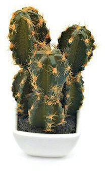 Generic Artificial Flower Plant Decoration Cactus