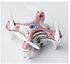 Neworldline Cheerson CX-10W Mini Wifi FPV With Camera 2-zoom.4G 4CH 6 Axis LED RC Quadcopter-Pink