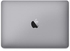 Apple Macbook MJY32 12 inch 256GB 8GB 1.1GHz Dual-Core M Space Grey (2015)