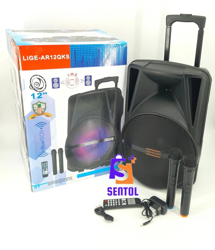 12 inch Rechargeable Portable PA Speaker System with 2 Microphones