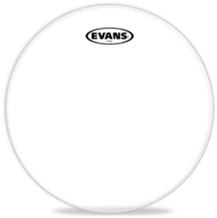 Buy EVANS 8" G Plus Clear Drum Head -  Online Best Price | Melody House Dubai