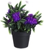 Get Plastic Round Vase With Flowers, 10 Cm - Purple with best offers | Raneen.com