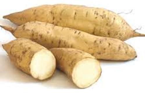Image result for sweet potatoes nigeria