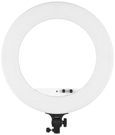 Photography LED Video Ring Light With Phone Holder And Carrying Bag White