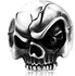 Ring for men on a skull-shaped silver Size 11