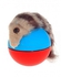 As Seen on TV Beaver Ball Toy for Pets