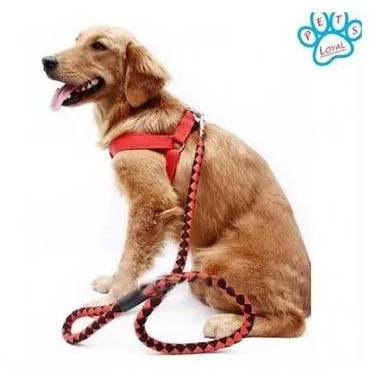Generic Layered Pet High Quality Nylon Dog Harness And Leash