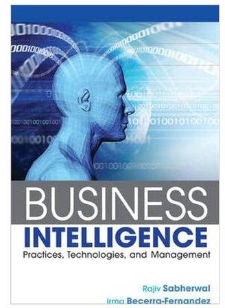 Business Intelligence: Practices, Technologies, And Management Paperback