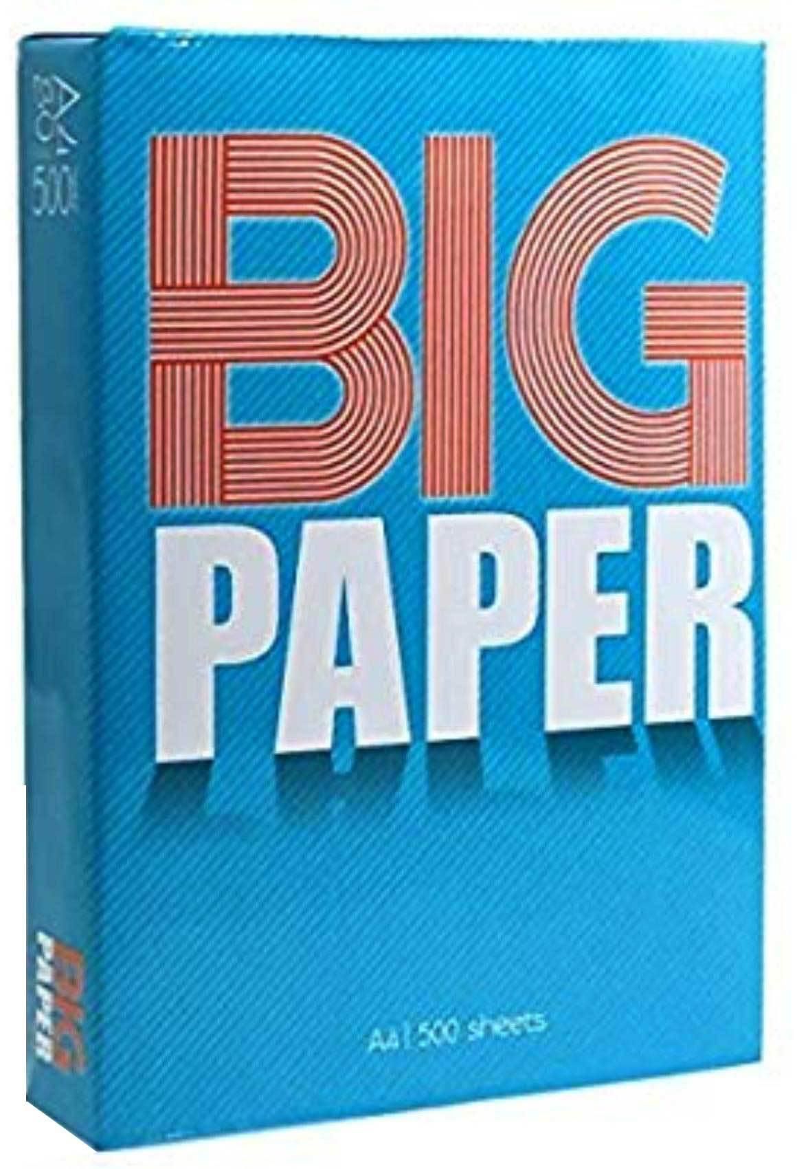 Big A4 Paper White 500 Sheet