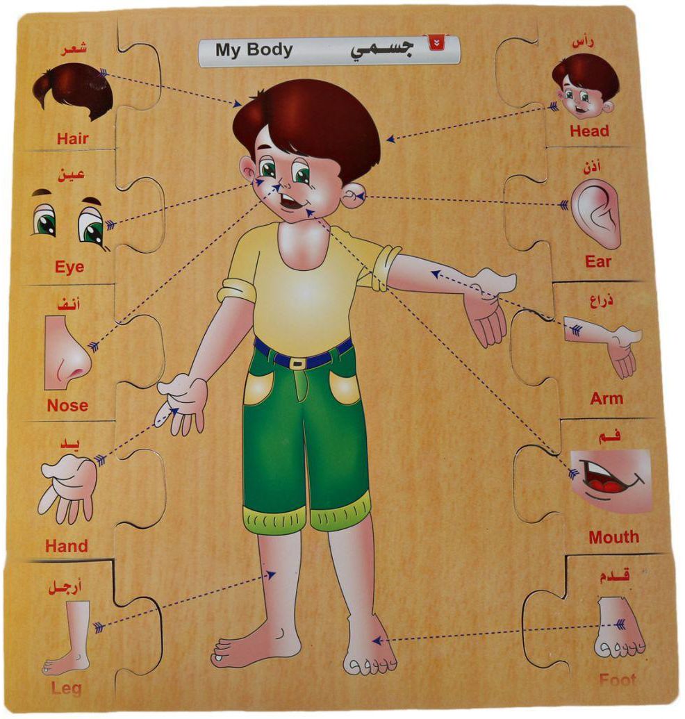 Puzzles Toy in the Form of Man's Body for Children, Age 3 Years