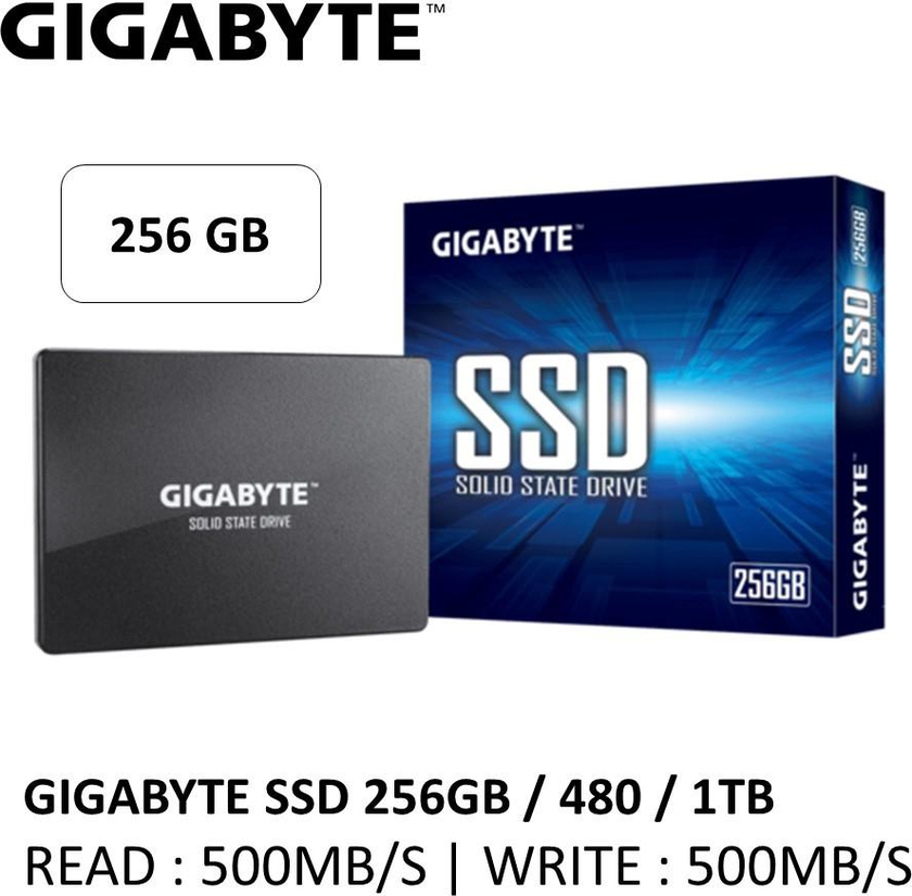Gigabyte SSD 2.5 SATA (256GB)