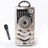 Geepas HT Rechargeable Mini Speaker Rech Portable Speaker/USB/SD/FM/RMT/BT/MIC1X8 GMS8508
