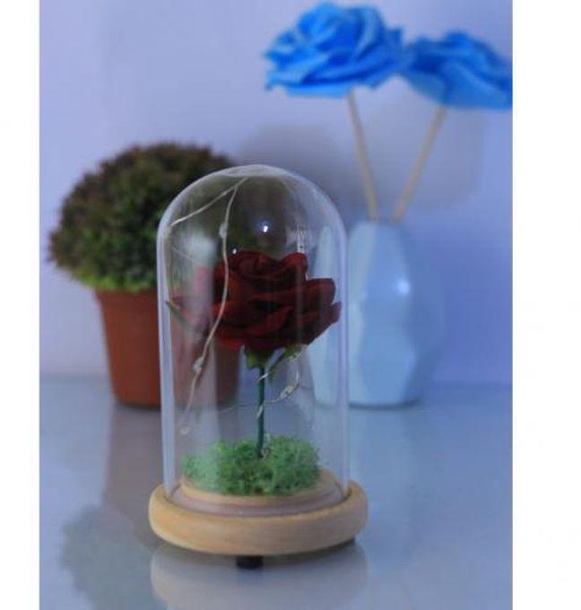 Enchanted Red Rose,Beauty And The Beast Rose With Fallen Petals In A Light Dome,Home/Office Or Home Decorations, Anniversary, Valentine's Day Christmas Gift
