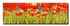 Decorative Wall Painting With Frame Green/Orange/Yellow 99x29cm