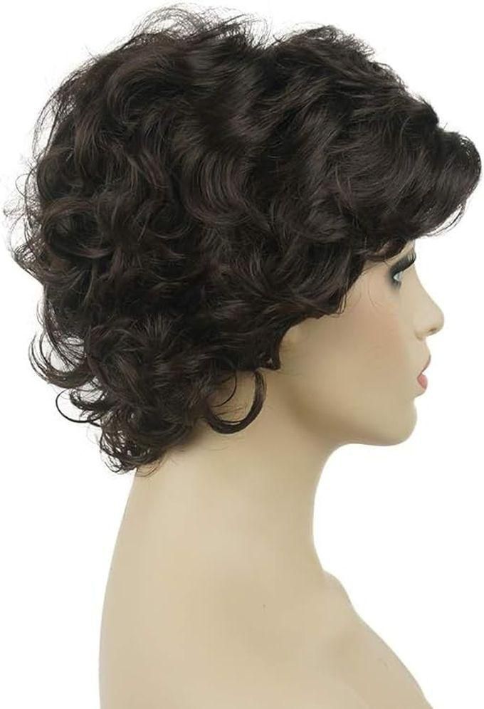 Fully Synthetic Short Curly Hair Wig For Women (dark Brown)