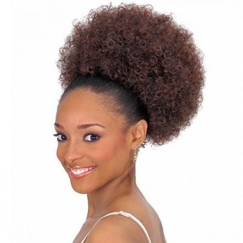 Generic Natural Curly Afro Dark Brown - HairBun
