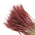 Fancy Natural Dry Wheat Grass Dried Weat Flowers Painted Cherrywood