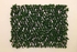 PAN Home Willow Fence Green 200X100cm