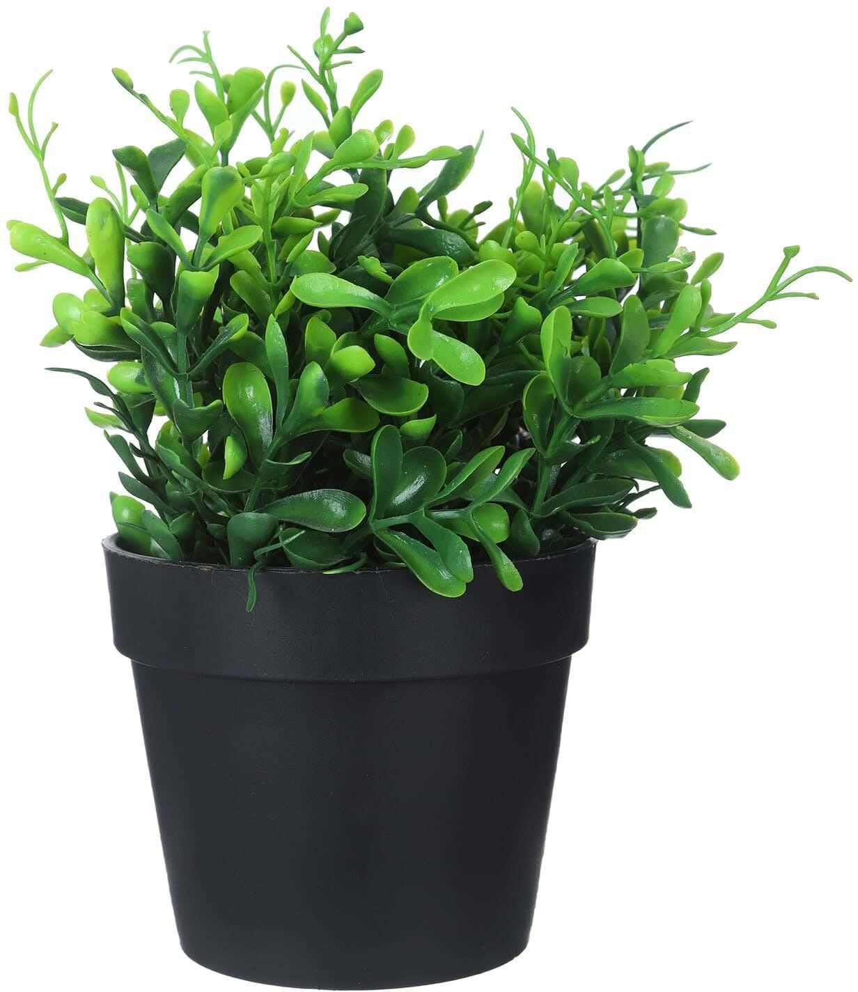 Get Round Plastic Vase, 9×8 cm - Green with best offers | Raneen.com
