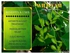 Herbsconnect Organic Wild Yam Powder _ 100g.