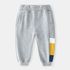 Toddler Boy's Sweatpants Fashion Elastic Waist Casual Pants