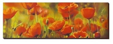 Decorative Wall Painting With Frame Multicolour 120x40centimeter
