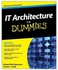 IT Architecture For Dummies Paperback