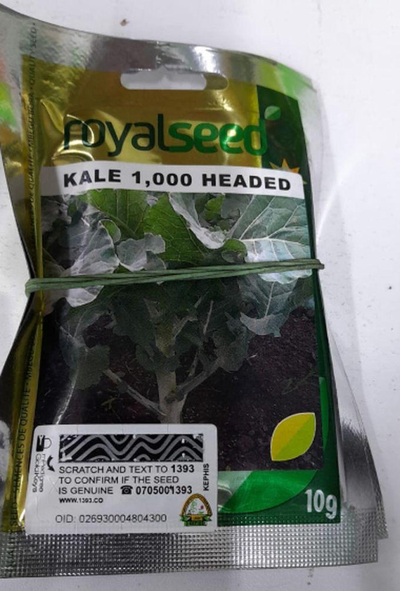 Royal Kale 1000 Headed Sukuma Wiki