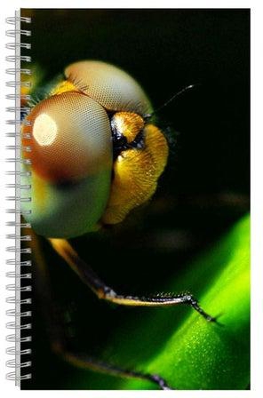 Printed A4 Notebook Green/Yellow/Orange