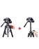 Wei Feng Tripod For Digital & Camcorder Camera