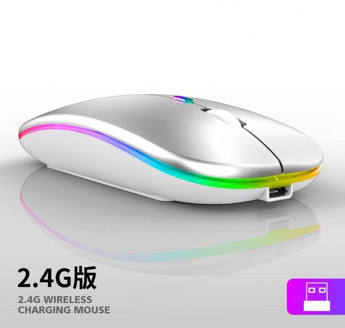 Wireless Mouse Rechargeable Wireless Mice 2.4g-Silver