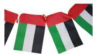UAE Party Flags 4 meter 12flags