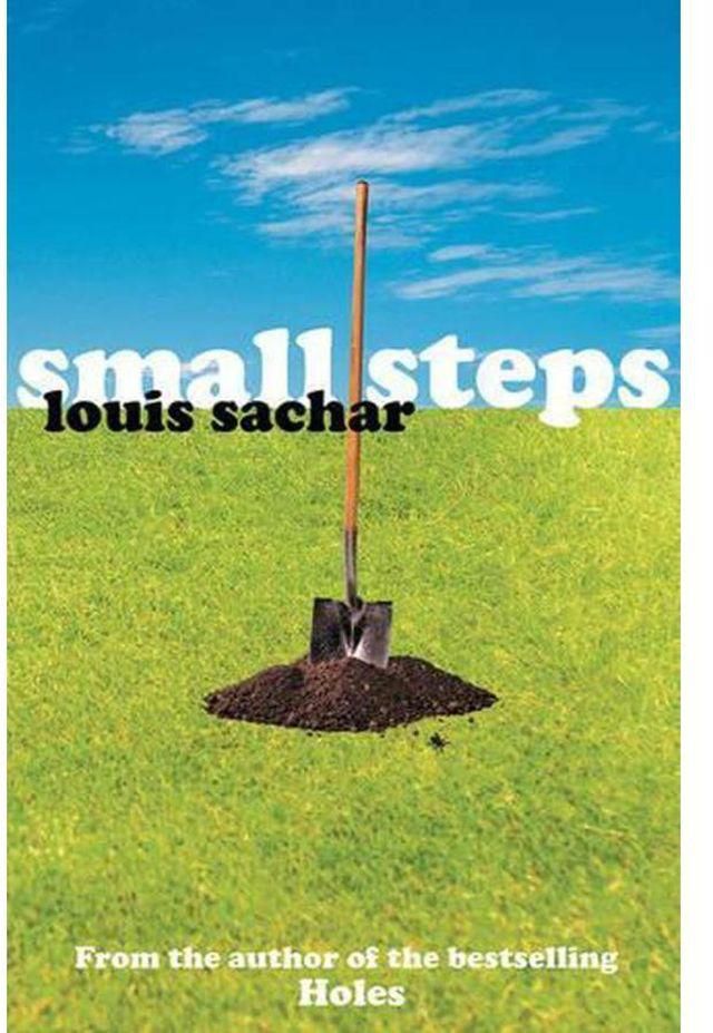 Bloomsbury Publishing Plc Small Steps (Holes) ,Ed. :1